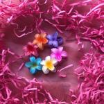 5pcs Colorful Flower Hair Clips